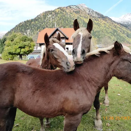 Gaestehaus Truskaller