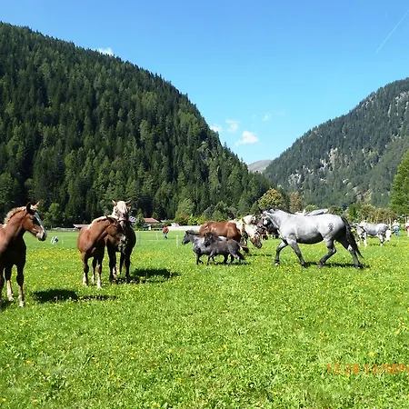 Gaestehaus Truskaller 3* Mallnitz