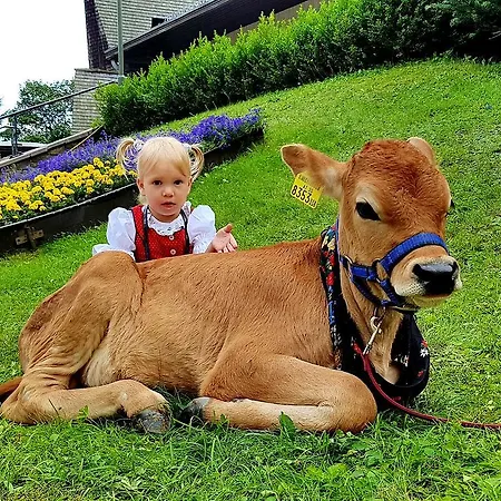 Penzion Gaestehaus Truskaller 3*