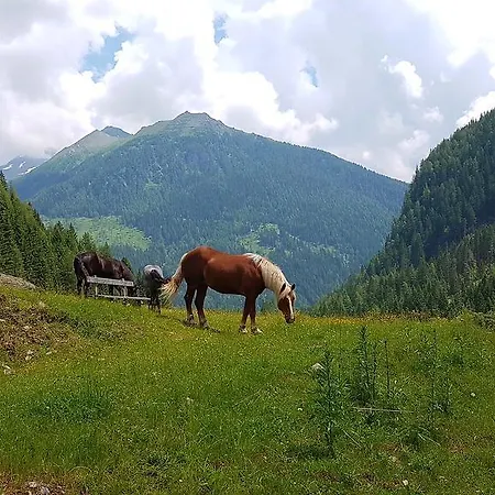 Penzion Gaestehaus Truskaller Mallnitz