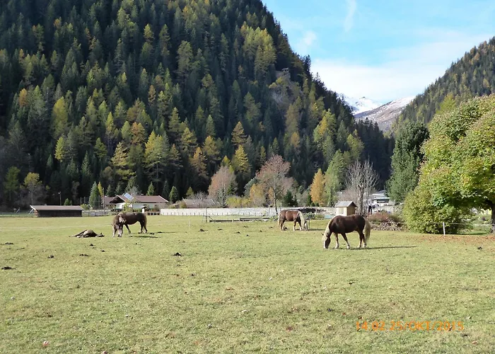 Gaestehaus Truskaller Gasthuis 3*