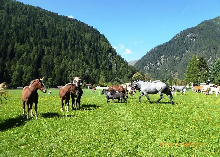 Gaestehaus Truskaller 3* Mallnitz