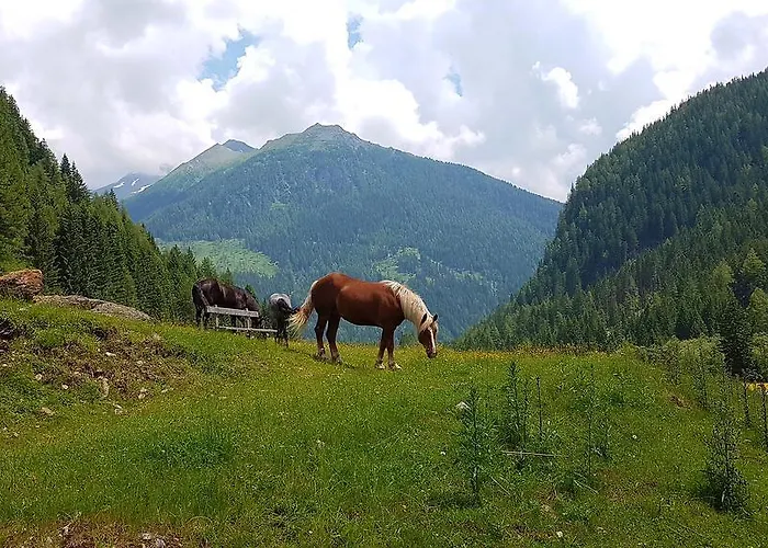 Gasthuis Gaestehaus Truskaller Mallnitz